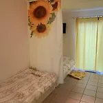 Carpe Diem Bed and breakfast