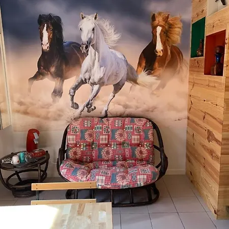 Carpe Diem Bed & Breakfast Jumet