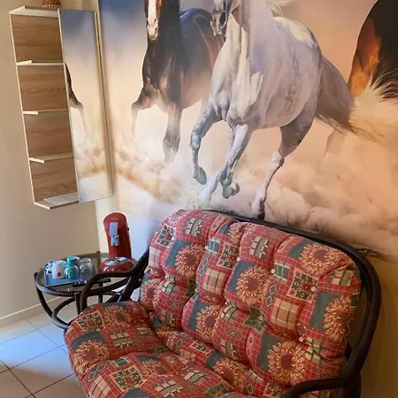 Carpe Diem Bed & Breakfast