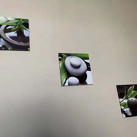 Nocleg ze śniadaniem Carpe Diem